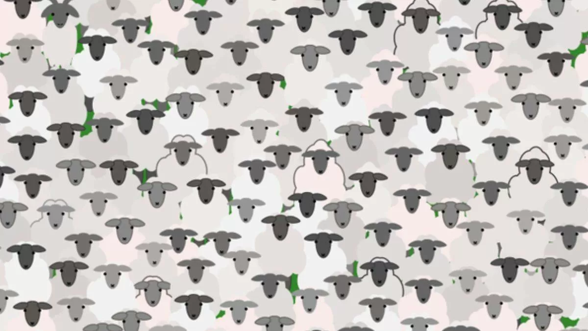 Optical Illusion for Testing Your IQ