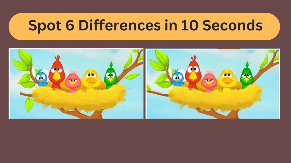 Spot 6 Differences in 10 Seconds