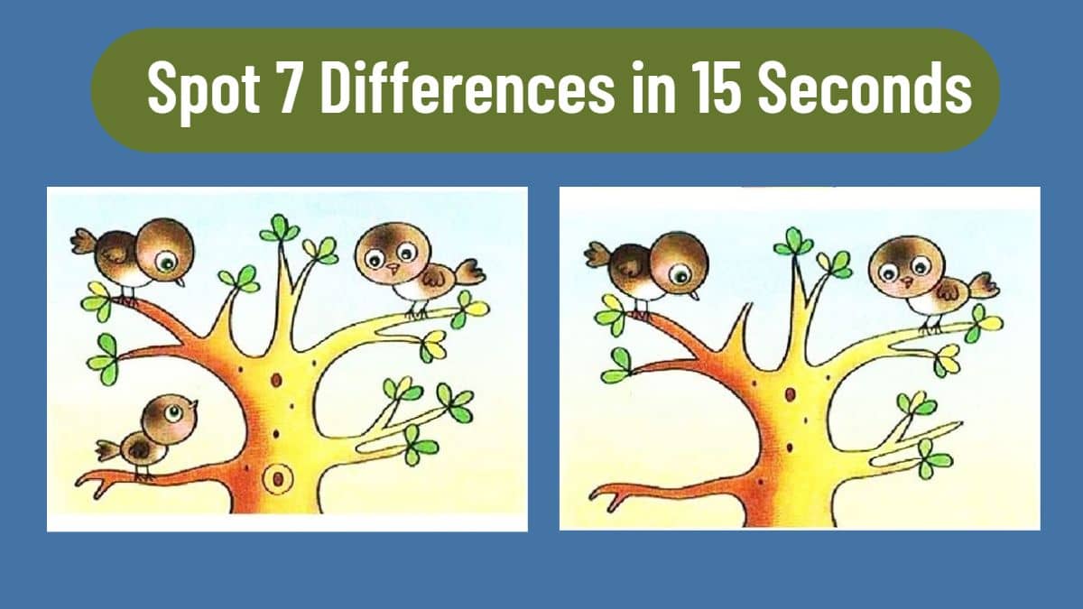 Spot 7 Differences in 15 Seconds