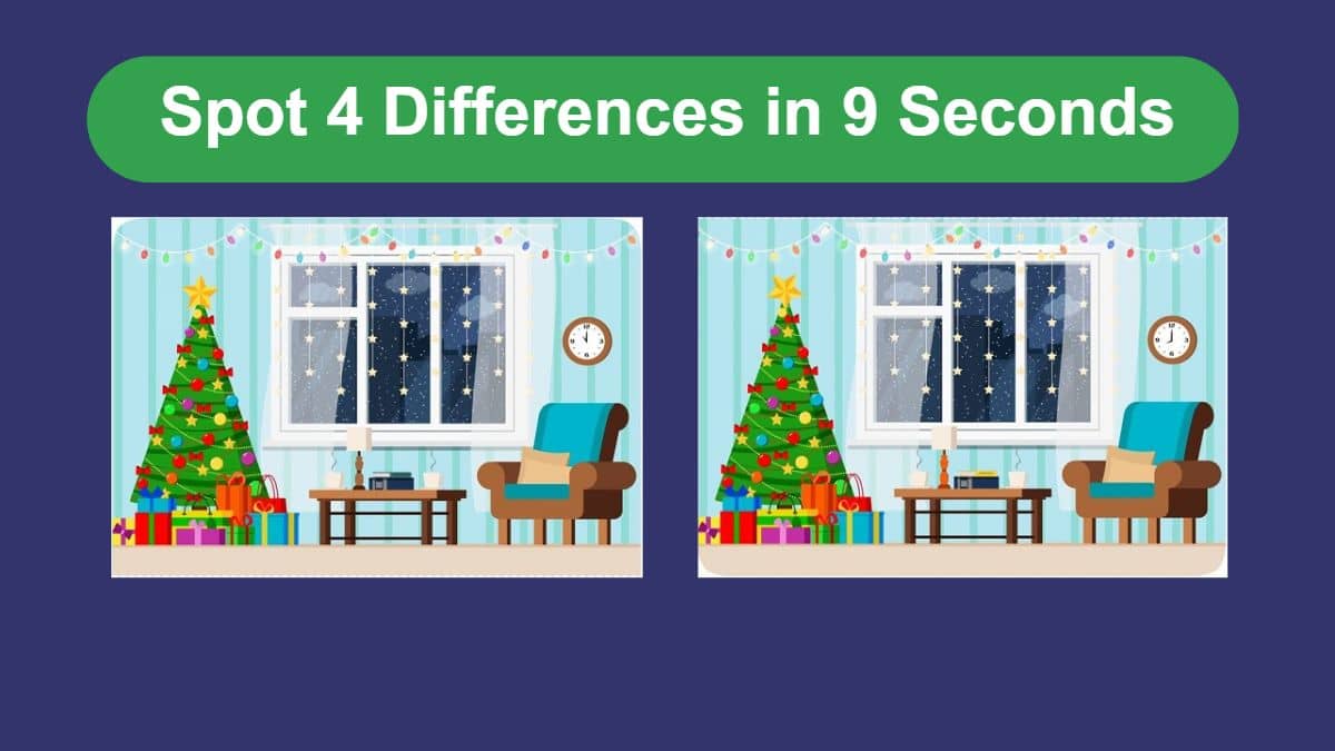 Spot 4 Differences in 9 Seconds