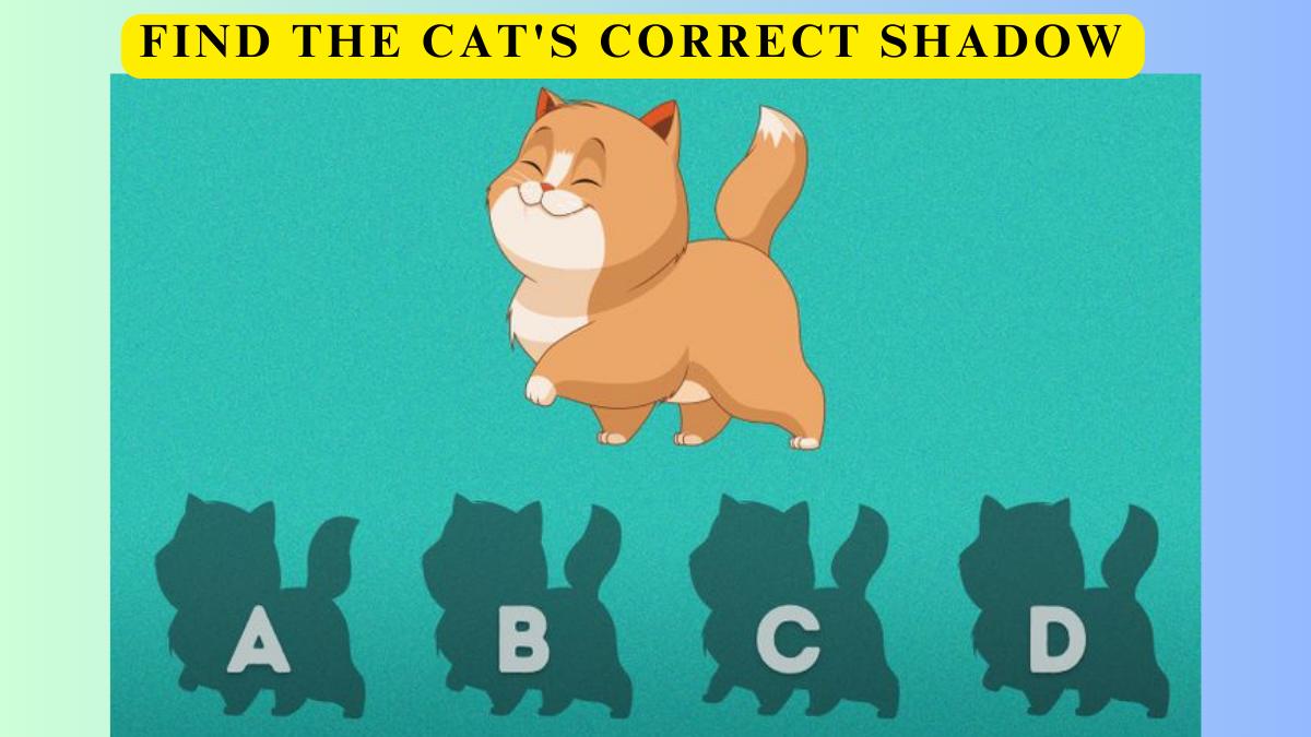 Brain Teaser- Find the cat’s correct shadow in 5 seconds