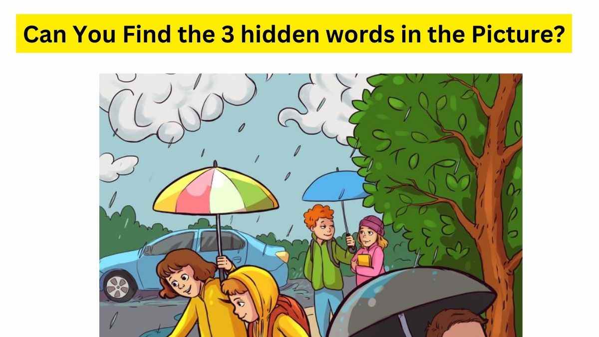 Find the three hidden words in the picture.
