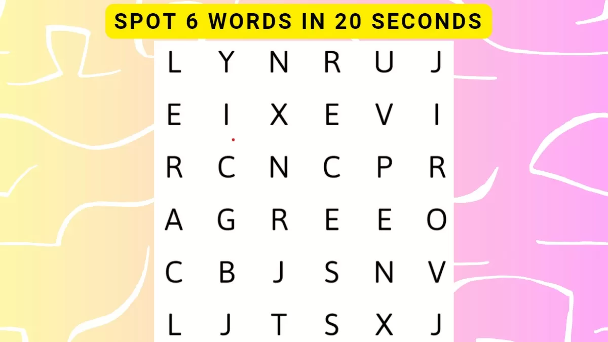 Word Search Puzzle - Spot 6 Hidden Words In 20 Seconds!