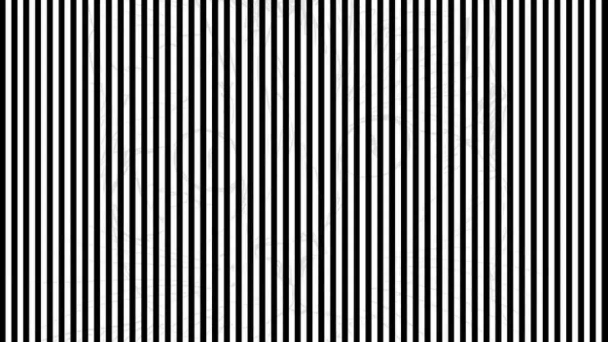 Optical Illusions for Testing Your IQ: Can you spot the hidden Cat behind  horizontal lines in 11 secs?