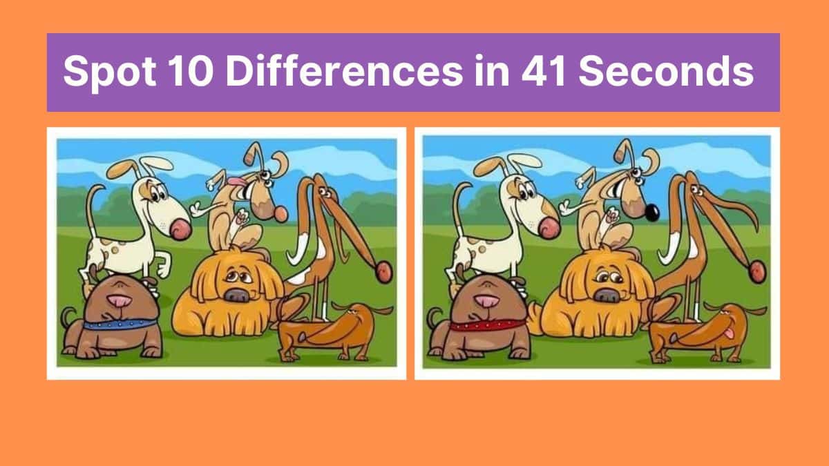 Spot 10 Differences in 41 Seconds
