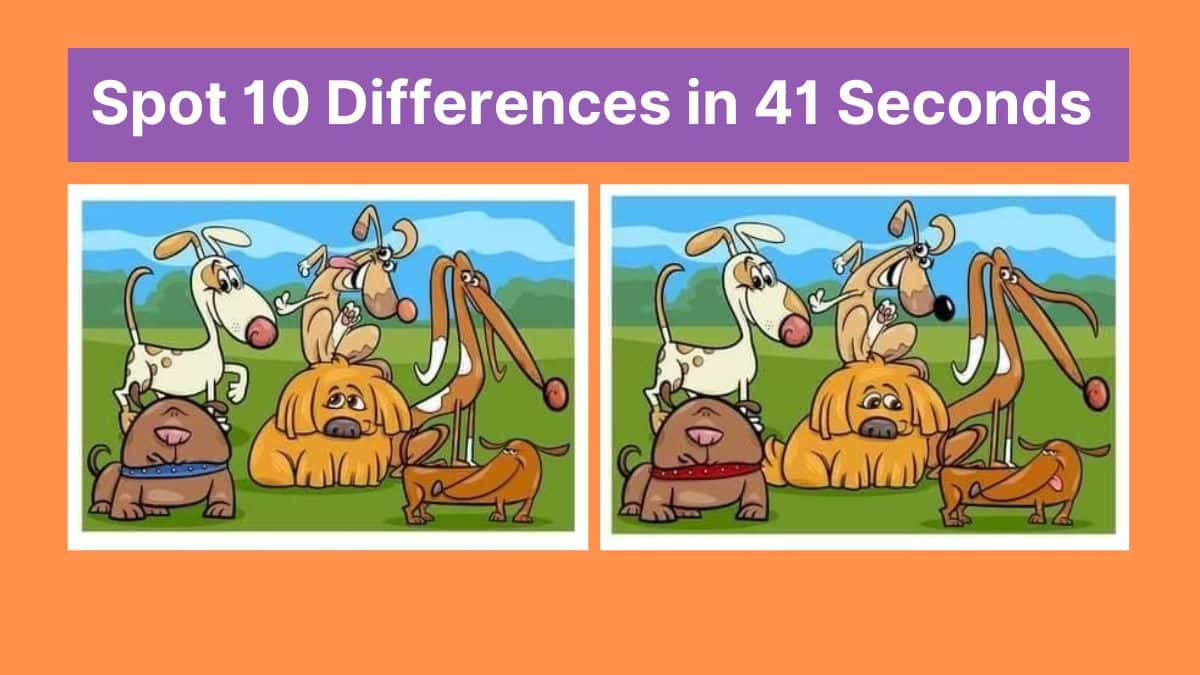 spot-the-difference-can-you-spot-10-differences-between-the-two