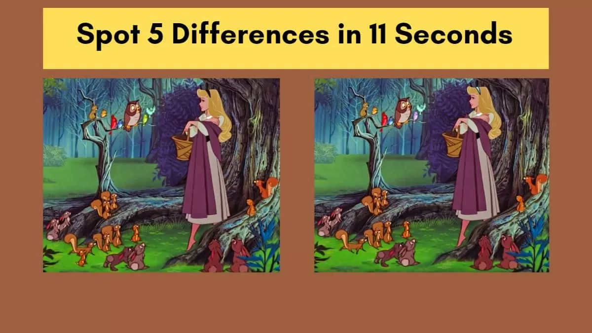 Spot 5 Differences in 11 Seconds