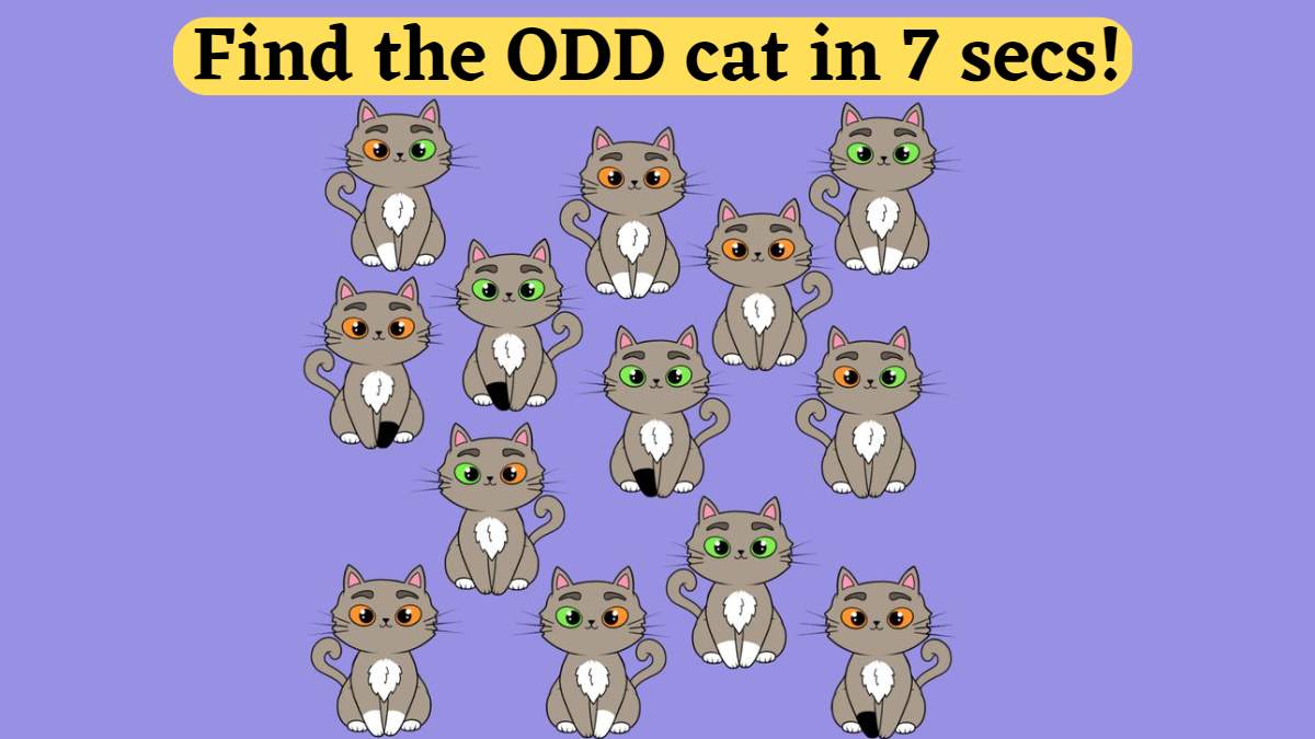 Brain Teaser Challenge: Find the Odd Cat in the Litter in 7 Seconds