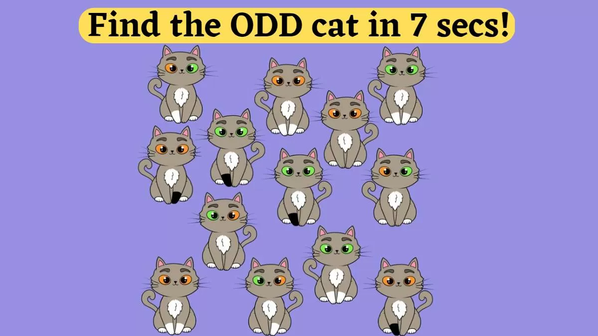 Brain Teaser Challenge: Find the Odd Cat in the Litter in 7 Seconds