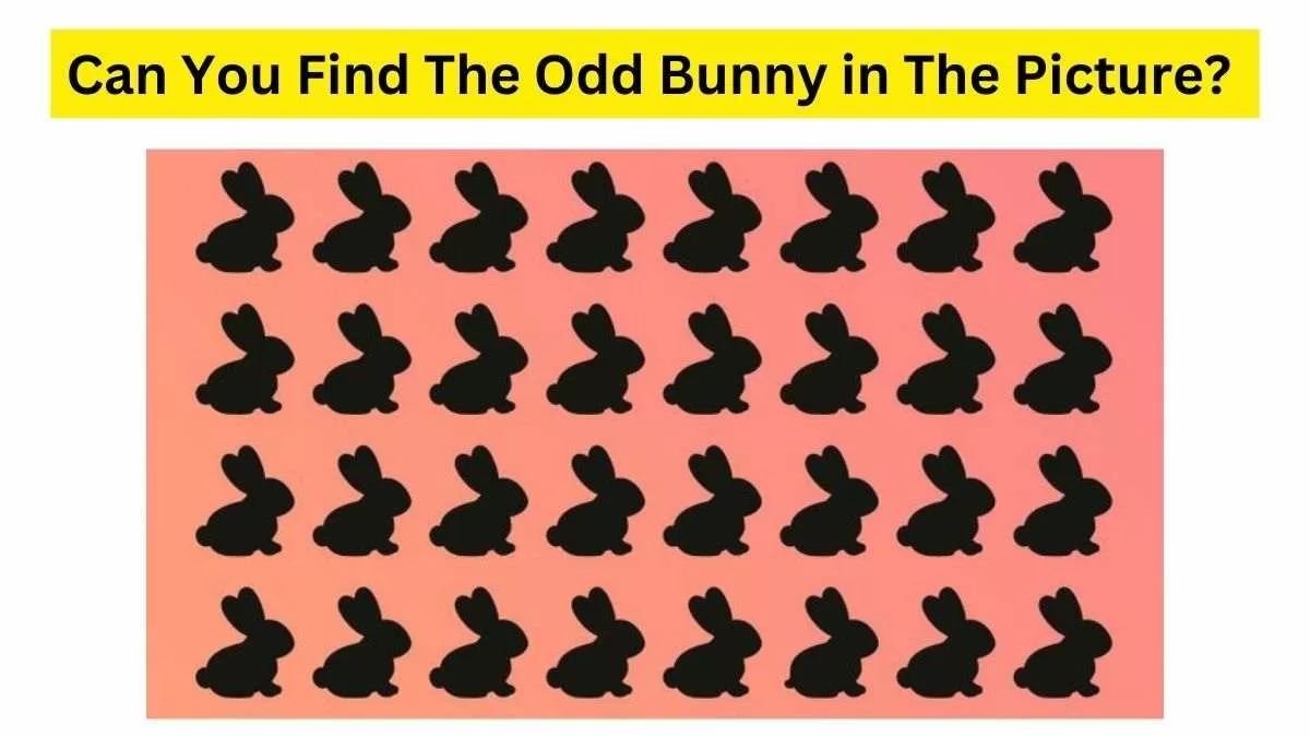 Solve this Odd One Out Brain Teaser.