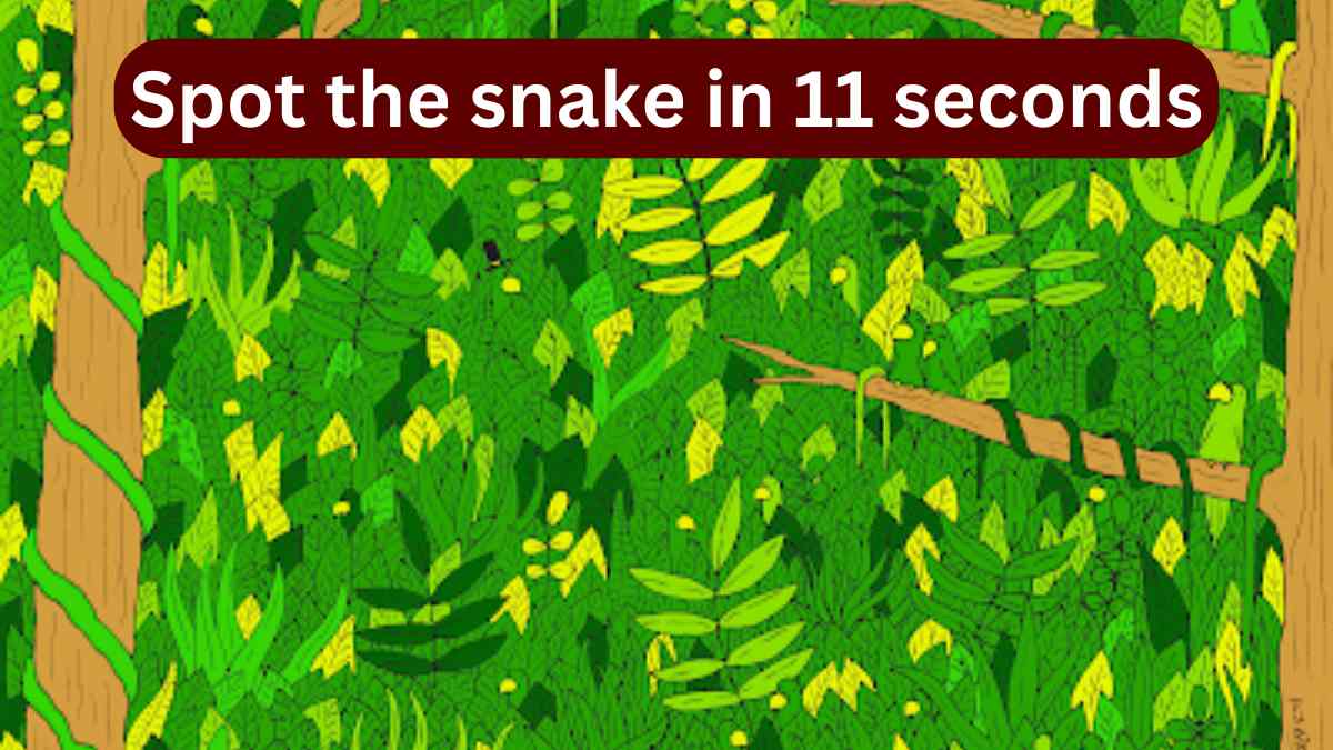 Optical Illusion Challenge: Spot the Snake in 11 Seconds