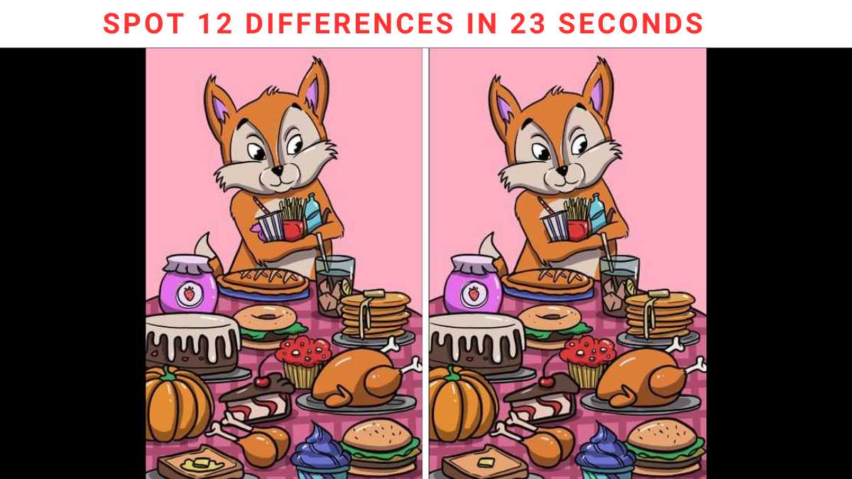 Spot The Difference- Spot 12 Differences In 43 Seconds!