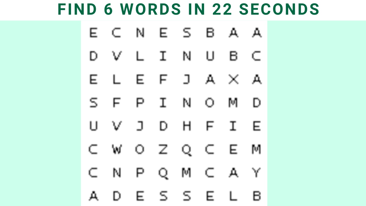Word Search Puzzle Find 6 Words in the image in 22 seconds