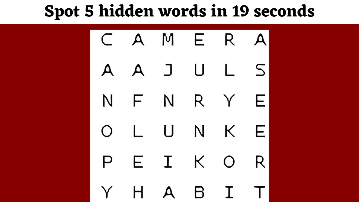 Spot 5 Hidden Words In 19 Seconds