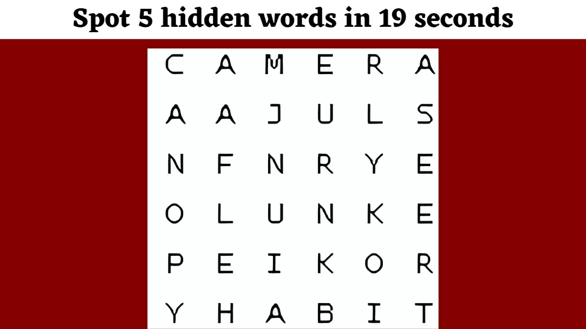 Word Search Puzzle: Are You Observant? Test Yourself by Finding 5 Hidden  Words in 19 Seconds!