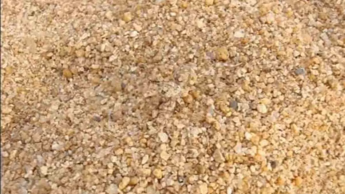 Find the hidden spider!