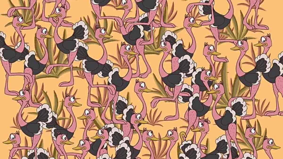 Can you spot an umbrella among ostriches in 7 seconds?