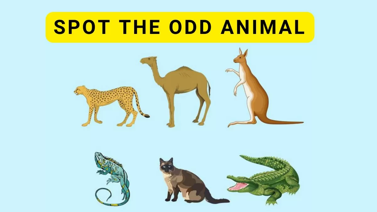 Animals name Quiz-A to Z – Apps no Google Play