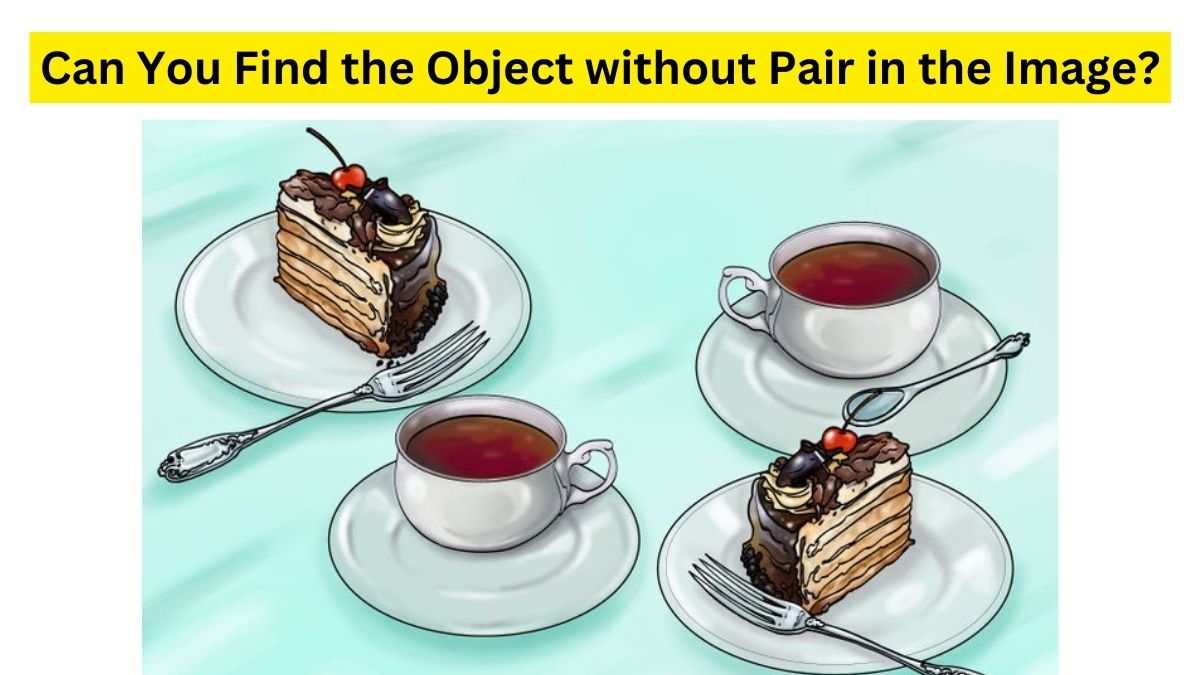 Find the Odd Object with no Pair in the Picture.