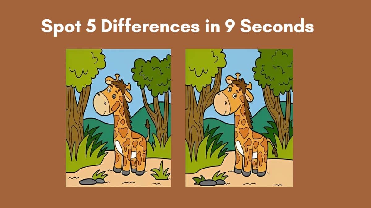 Spot 5 Differences in 9 Seconds