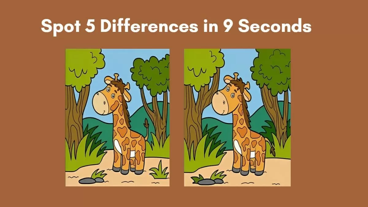 Spot The Difference: Can you spot 6 differences between the two