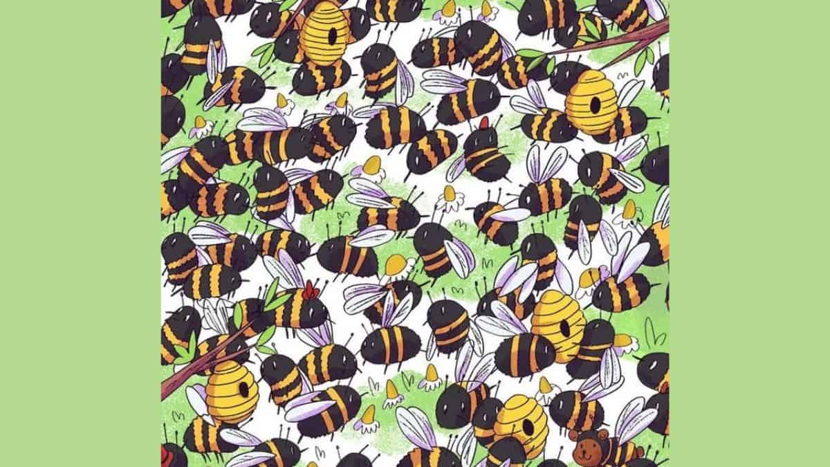 Find Bear among Bees in 7 Seconds
