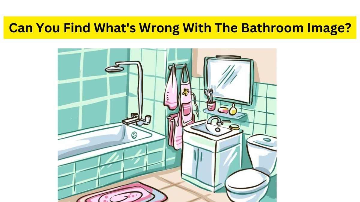 Can You Find What's Wrong with the Bathroom Picture Puzzle?
