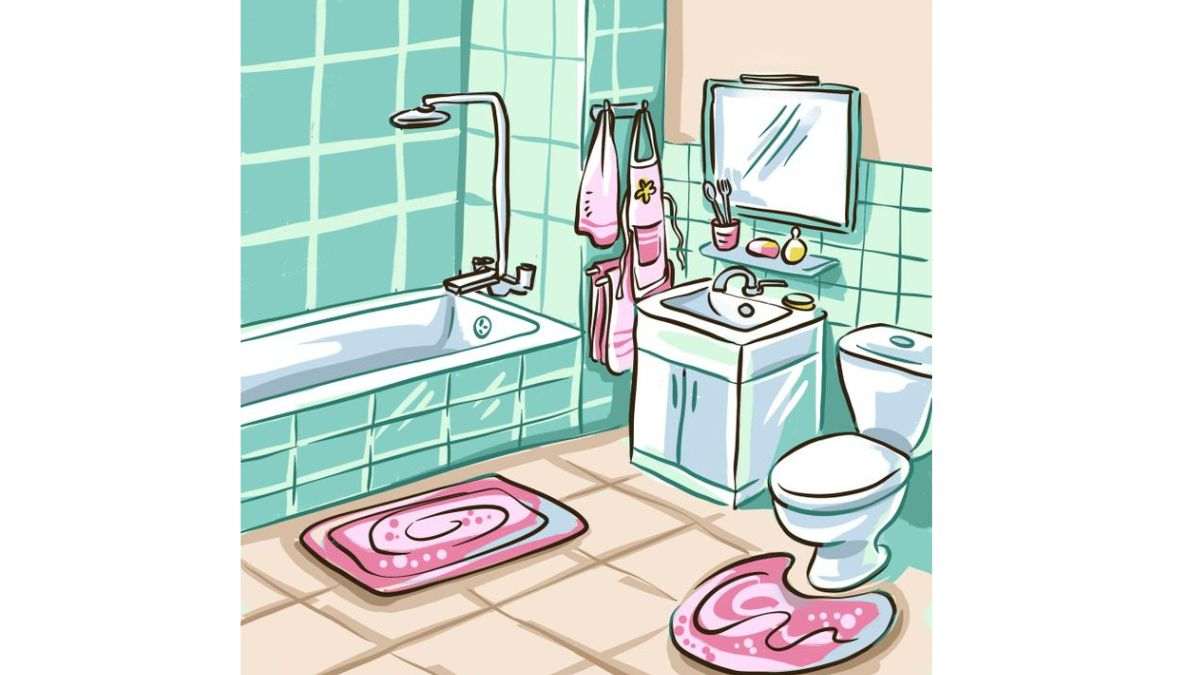 Brain Teaser For Fun: Can you spot what's wrong with this Bathroom image  within 23 seconds?