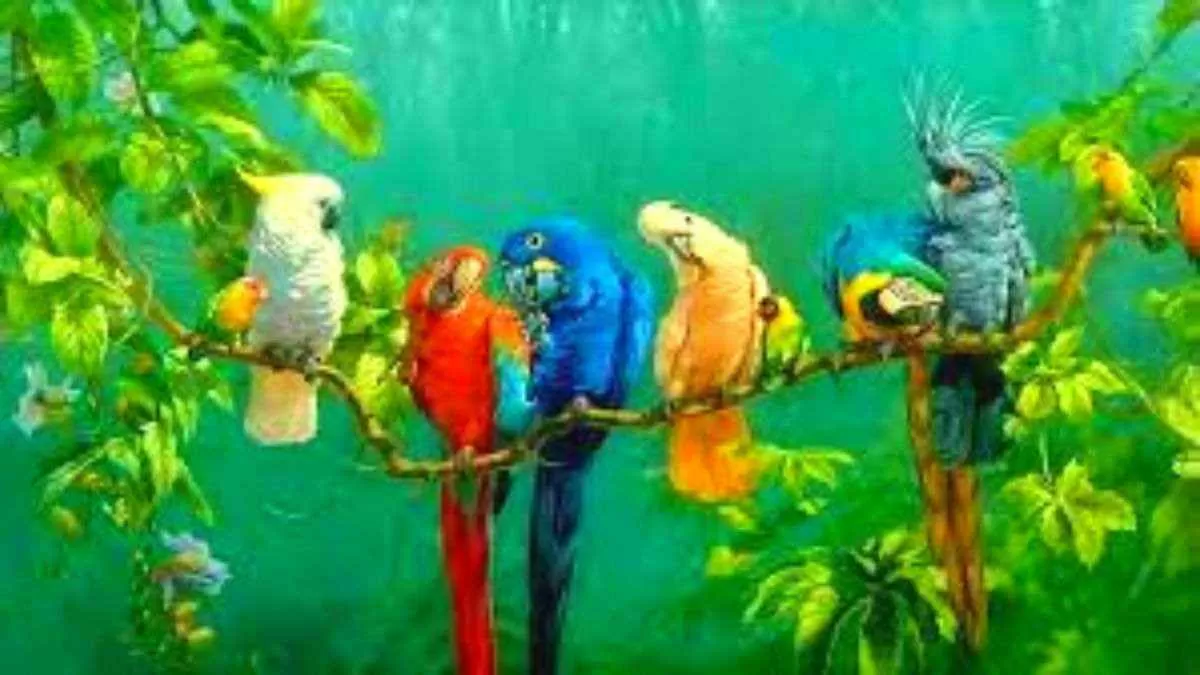 Find the hidden parrot!