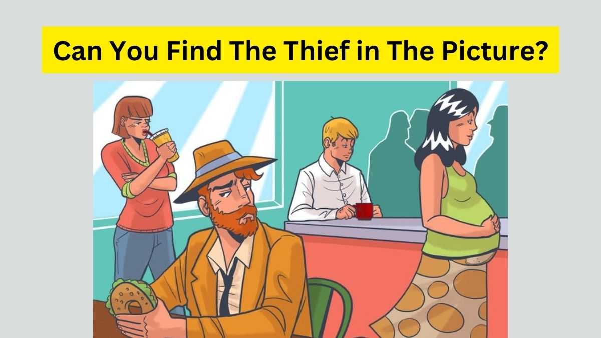 Find the thief in this Picture Puzzle.