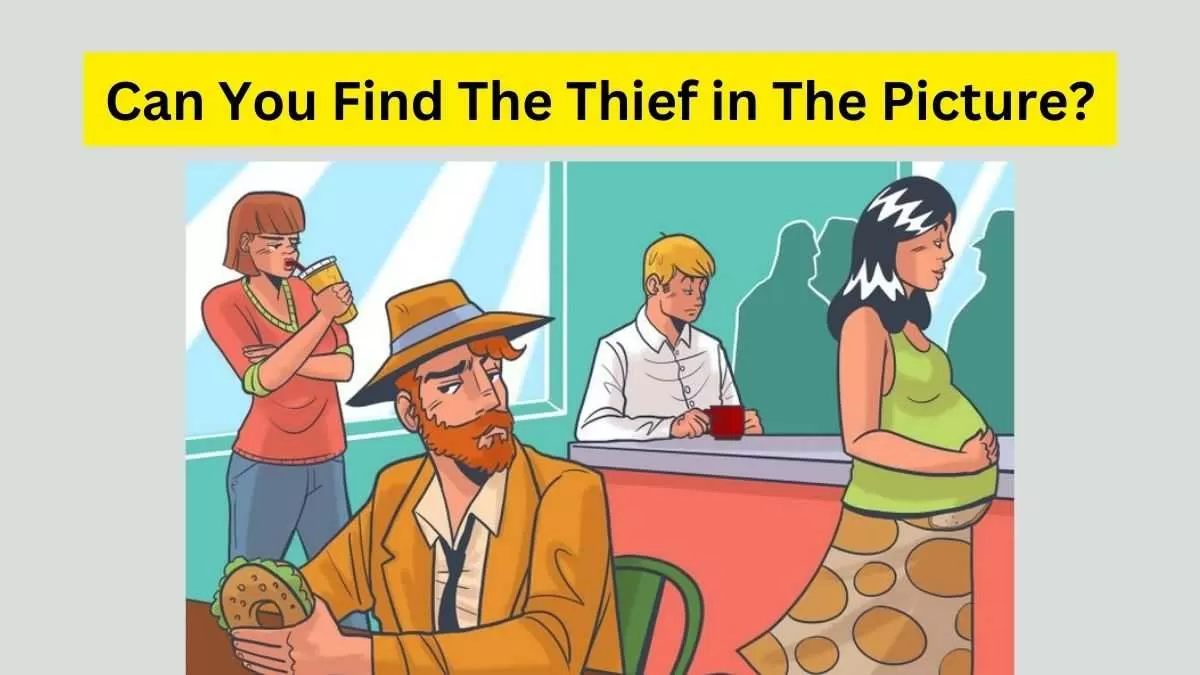 Find the thief in this Picture Puzzle.