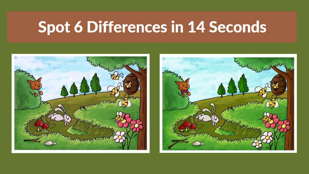 Spot The Difference: Can you spot 6 differences between the two ...