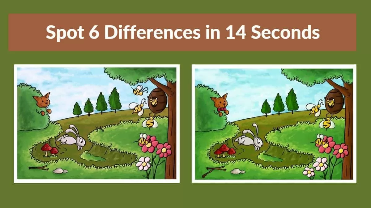 Spot The Difference: Can you spot 6 differences between the two