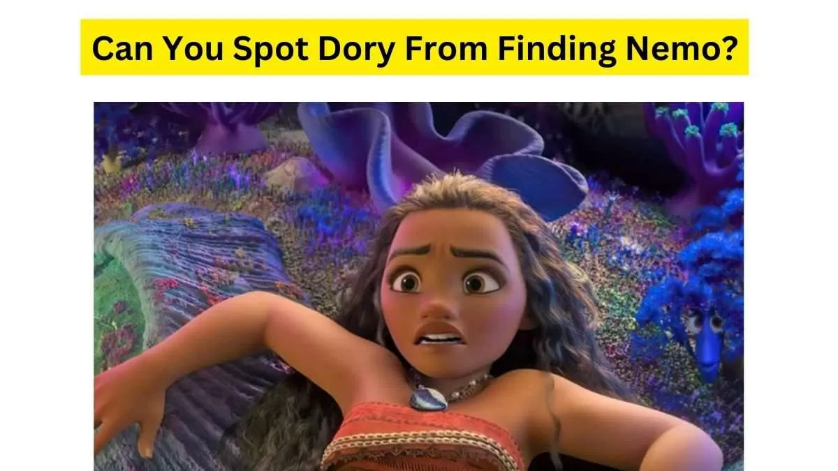 Can You Solve This Finding Nemo and Moana Brain Teaser.
