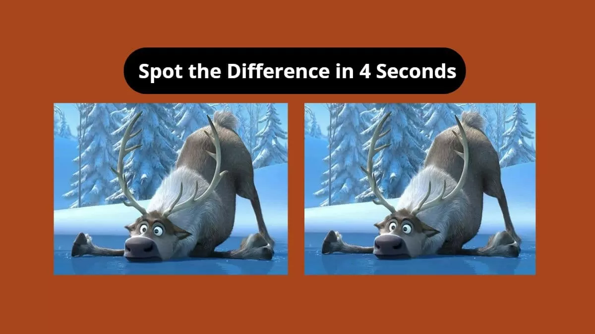 Spot The Difference: Can You Spot The Difference Between The Two Images ...