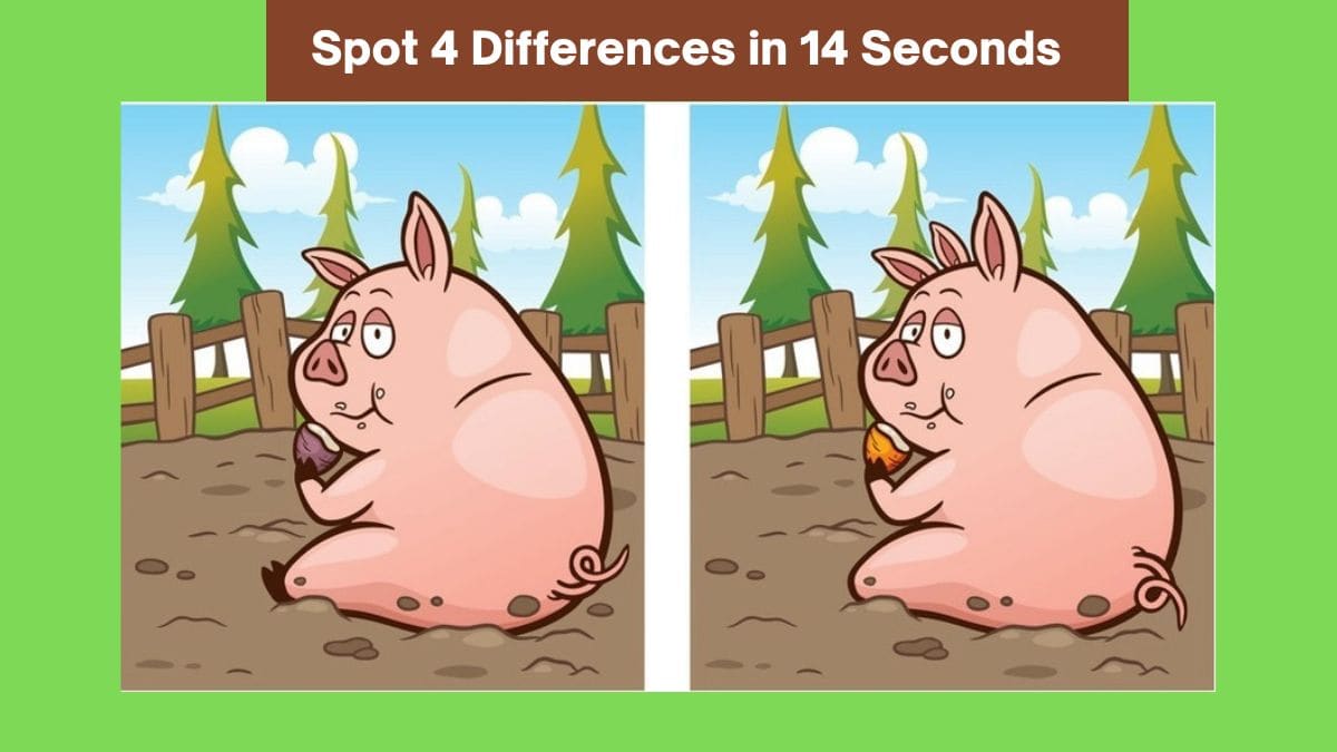 Spot 4 Differences in 14 Seconds