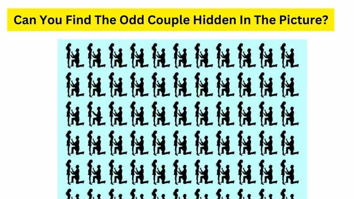 Do you see an odd couple here?