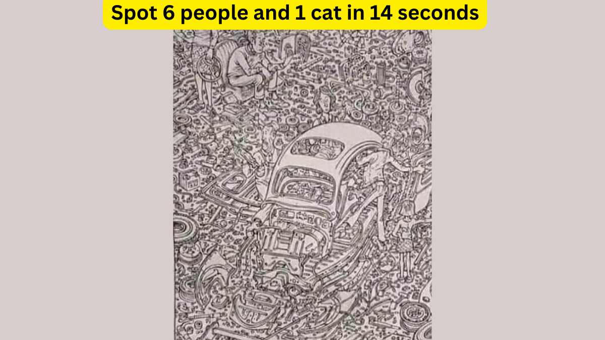 Can you spot 6 people and 1 cat in this picture within 14 seconds? Test your observation skills!