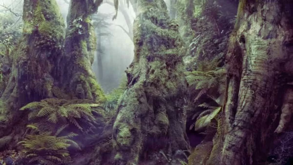 Find the hidden elephant!