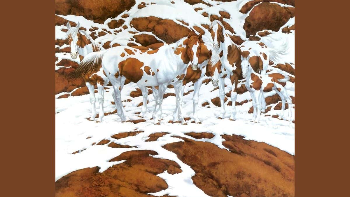 Hidden Animal Optical Illusion: Can you spot 5 horses in the snow within 11 seconds?