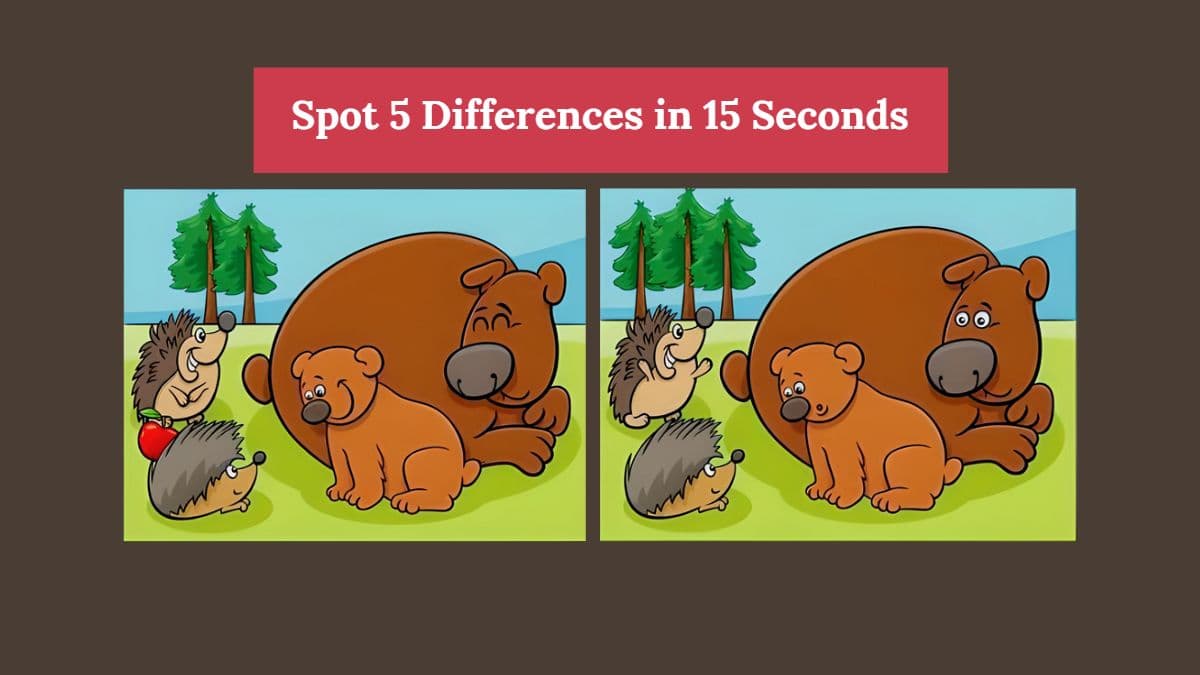 Can you spot 5 differences between the two bear and hedgehog pictures in 15 seconds?  