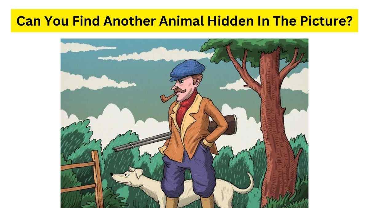 Hidden Animal Optical Illusion: Can you find the second animal ...