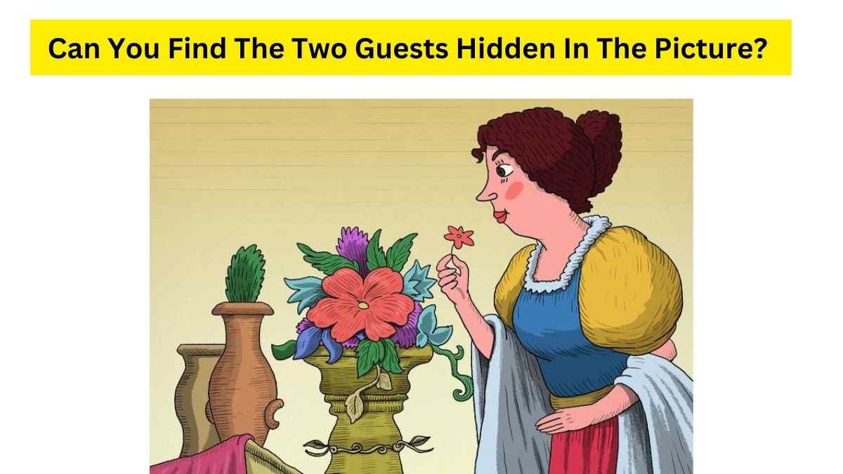 Optical Illusion Game Missing Can You Help Lady Grace Find Her Two Guests In 5 Seconds Try 