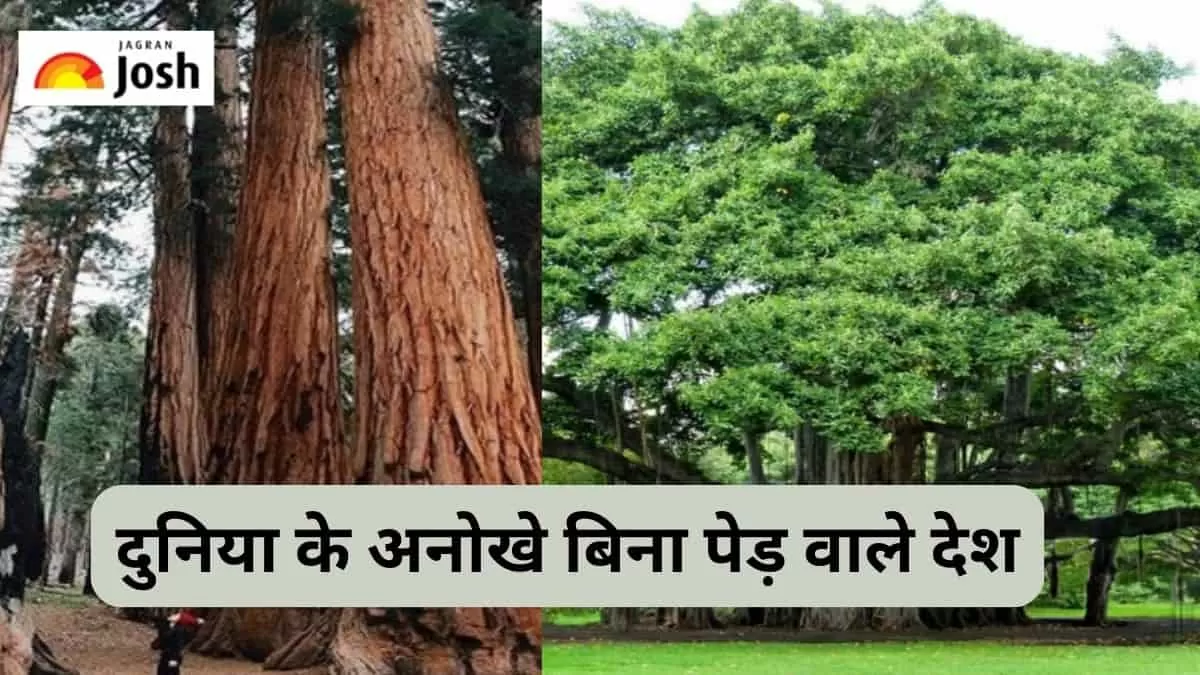 बिना पेड़ वाले देश 