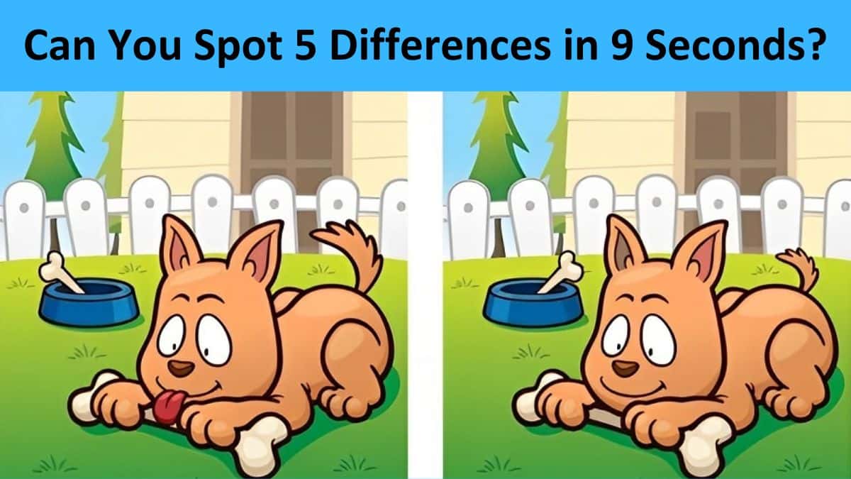 Spot the Difference: Only the most attentive eyes can spot 5