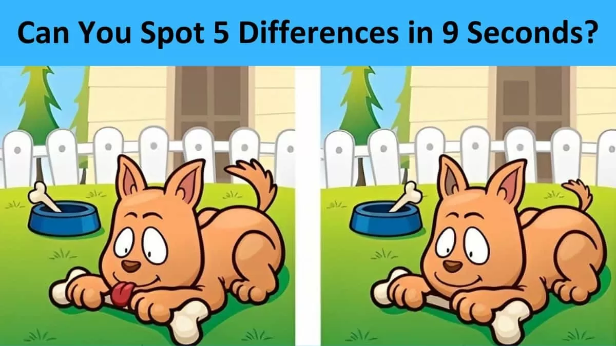 Spot The Difference: Can you spot 5 differences between the two