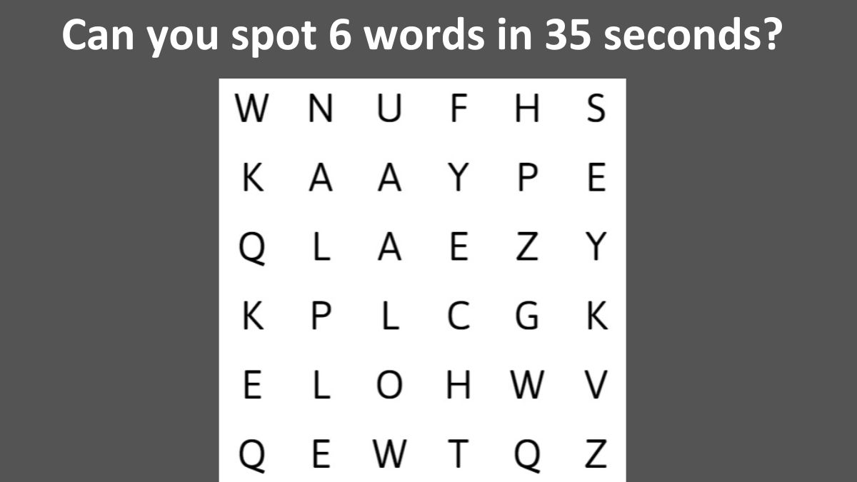 Word Search Puzzle: Can you spot 6 words in the image within 35 seconds?