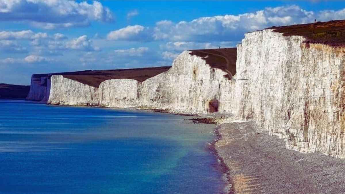 Optical Illusion: Finding the seagull in the image is next to impossible. Can you spot the hidden seagull?