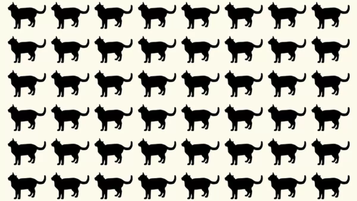 Brain Teaser to Test Your IQ
