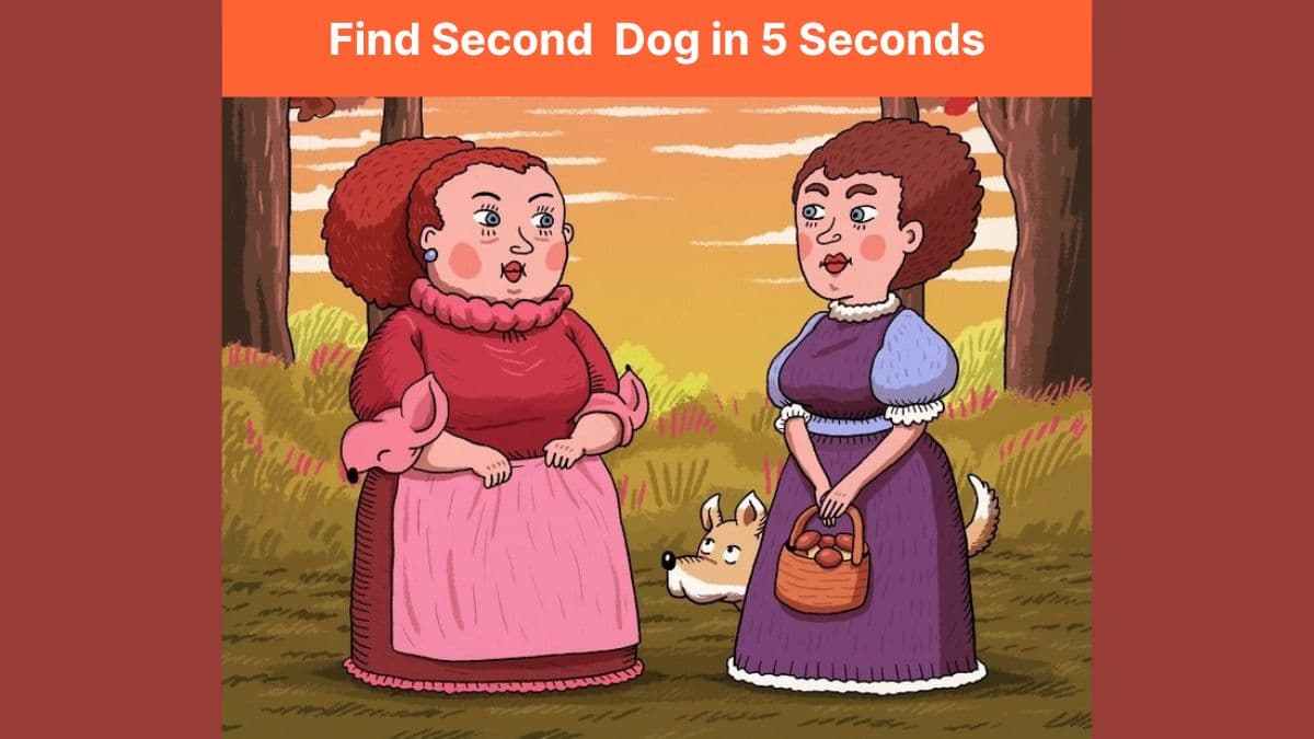 Hidden Animal Optical Illusion: Can you find the second dog in 5 seconds?